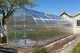 Greenhouse KLASIKA STANDART 20, 2.5x8m with Foundation and 4mm Polycarbonate