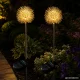 Solar Garden LED Lamps Dandelion Firework 70cm, Warm Light, 2 Pcs