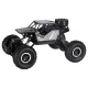 RC Rock Crawler 4x4 LHC012 2-in-1 Remote Control Car, Black