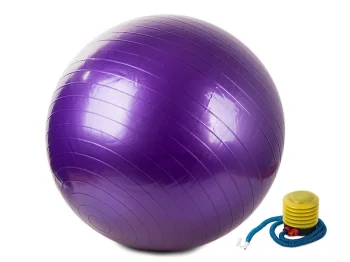 Gymnastic Ball with Pump 65cm, Purple
