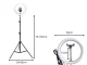 LED Ring Light with Phone Holder and 100cm Tripod