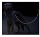 Atstarojoša Suņu Mācību Pavada Siksna 3m Purlov 21654 | Reflective Training Leash