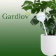 Watering Globe Irrigation Balls for Watering Flowers and Plants, 8 pcs.
