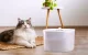 Petoneer Fresco EzGo Smart Pet Fountain 2L with App Control & UV Sterilization