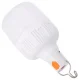 Hanging LED Camping Light ZD13B with Rechargeable Battery, White