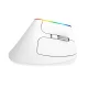 Wireless Vertical Mouse Delux M618C 2.4G 1600DPI RGB (white)