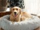 Soft Plush Bed for Dogs and Cats, 80 cm, Light Grey