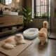 Open Cat Litter Box with Frame and Scoop, 45x34x12 cm, Blue