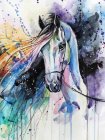 Dimantu Mozaīkas Komplekts Rokdarbs Glezna 5D Zirgs 30x40 cm | Diamond Mosaic Embroidery Kit Painting Horse