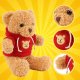 Soft Cuddle Teddy Bear 30cm Plush Toy for Kids Kruzzel 26760, light brown