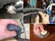 Steel Wool Metal Polishing Kit 3x150 cm for Rust and Scratch Removal