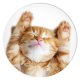 Popsockets 2 Snoozy Cat держатель и подставка для телефона