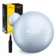 4FIZJO Reh Ball Exercise and Rehabilitation Ball 65 cm, Grey