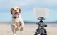 Neewer LT07 Aluminum Travel Tripod with Ball Head