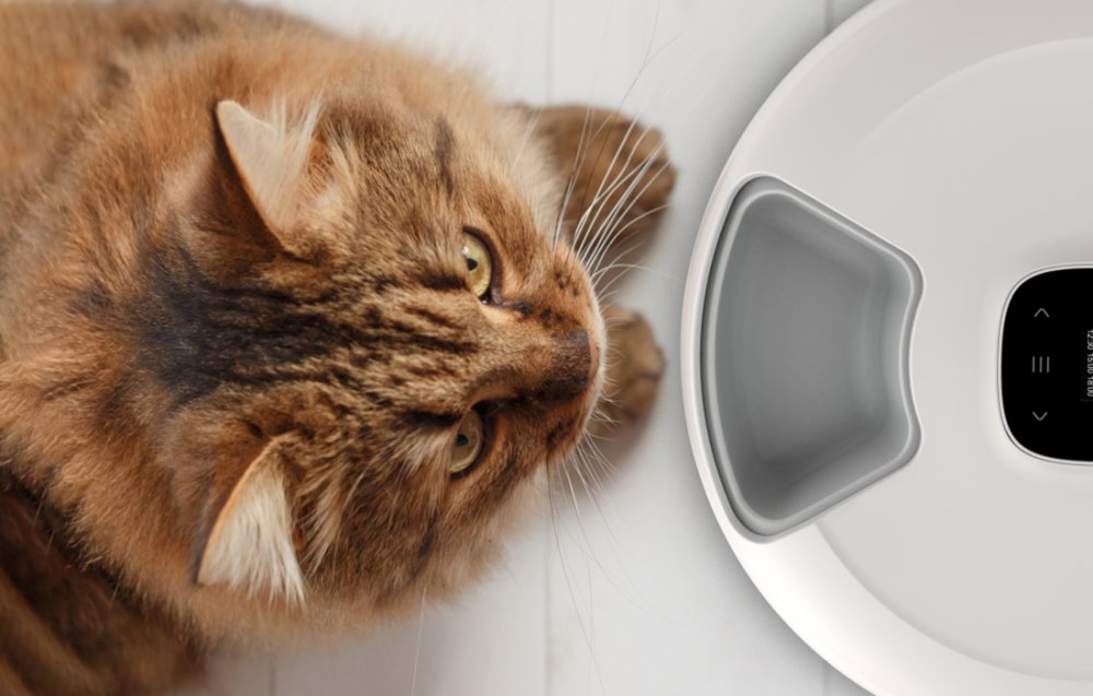 Petoneer NutriSpin Intelligent x6 Chamber Food Dispenser Bowl Container-Dispenser for Dogs Cats, White (2)