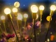 Solar Garden Lights with LED Balls, 2 Pcs, 70 cm