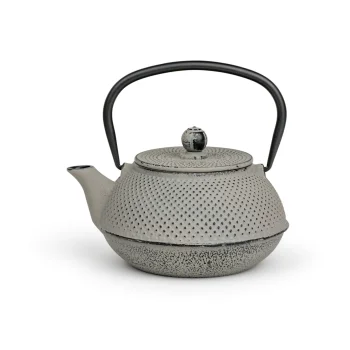 Bredemeijer Jang 0.8L Cast Iron Teapot with Filter 153022, Grey