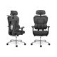 Ergonomic Office Chair Sofotel Talin with Adjustable Lumbar Support, Black