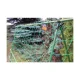 Plant Support Trellis Netting 1.8 x 2.7 m, Green