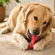 Squeaky Dog Toy Dumbbell, 13 cm, Red