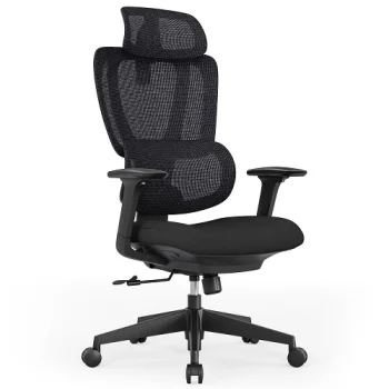 Ergonomic Office Chair with Headrest and Lumbar Support, Black