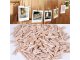 Decorative Mini Clips Clamps Clothespins 2.5 cm, 100 pcs.