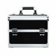Professional Makeup Train Case with 4 Trays, Black and Silver