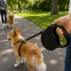 Retractable Dog Leash, 5m, up to 15kg, Black