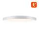 Gosund LB11 Smart Ceiling Lamp 32cm WiFi/Bluetooth RGBCW 1920lm with Remote
