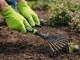 DIVODV Hand Rake for Garden, 38cm, Black/Green