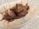 Soft Plush Pet Bed for Dogs and Cats, 60x50 cm, Beige