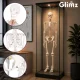 Human Skeleton Anatomical Model Glimz, 170 cm, 1:1 Scale, with Stand