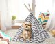 Pet Teepee Tent Bed Sofa Nest Sleeping Place for Cats Dogs