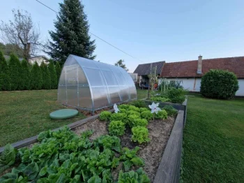 Greenhouse Klasika Arrow 3X8M (24M2) With 4Mm Polycarbonate Coating