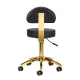 Activeshop AM-304G Cosmetic Stool with Backrest, Black/Gold