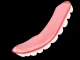 Cosmetic Upper Teeth Veneer Cover with Moulding Material and Case