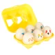 Educational Egg Sorter Montessori with Animals, 6 pcs