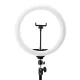 Glow 13\" Ring Light with Tripod, 10W