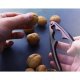 Tongs, nut cracker for walnuts, hazelnuts, macadamia, almonds, 15 cm