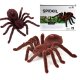 Tālvadības tarantuls, RC pająk, brūns