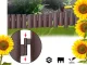Garden Palisade Flowerbed Barrier Fence 215cm, Set of 8 Elements