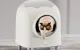 Intelligent self-cleaning cat litterbox HHOLove iPet