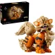 LEGO Pokémon 72160 Arcanine Building Set (1190 Pieces)