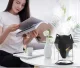 Carruzzo Wolf 1 Air Humidifier and Diffuser