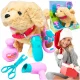 Interactive dog +accessories