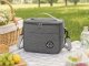 Thermal Lunch and Picnic Bag, Grey