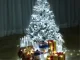 LED Curtain String Lights 500 LED Cold White IP44
