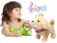 Interactive dog +accessories