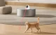 Automatic Cat Laser Toy Rojeco RWJDZ-02 1000mAh
