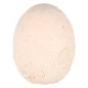 Dinosaur Excavation Kit XL Egg with 12 Figures